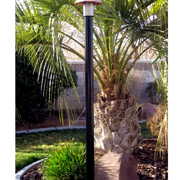 Bird of Paradise Gas Tiki Torch